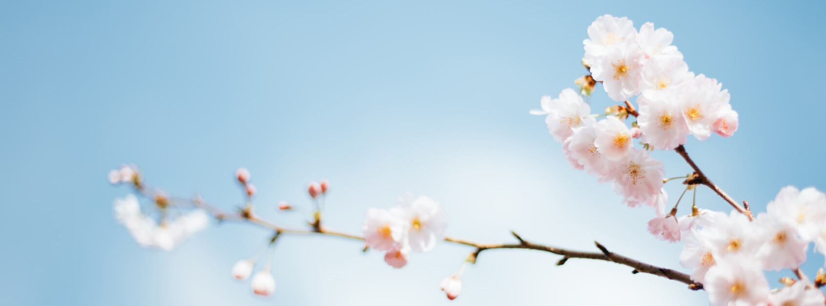 角敢滤健